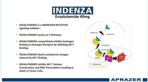 INDENZA - Enzalutamide Capsules 40 mg -344